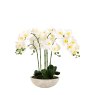 Gallery Direct Faux Plants - Oversized Orchid in Cement Pot White