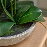 Gallery Direct Faux Plants - Oversized Orchid in Cement Pot White