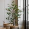 Gallery Direct Faux Plants - Potted Bamboo Tree 4ft