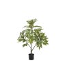 Gallery Direct Faux Plants - Potted Chinese White Olive Tree 3ft