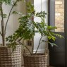 Gallery Direct Faux Plants - Potted Chinese White Olive Tree 5ft