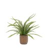 Gallery Direct Faux Plants - Potted Fern Plant