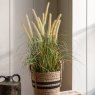 Gallery Direct Faux Plants - Potted Grass with Cattail Seed Heads