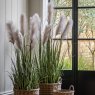 Gallery Direct Faux Plants - Potted Grass with Pampas Seed Heads