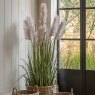 Gallery Direct Faux Plants - Potted Grass with Pampas Seed Heads