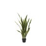 Gallery Direct Faux Plants - Potted Sansevieria Plant 4ft