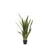 Gallery Direct Faux Plants - Potted Sansevieria Plant 4ft