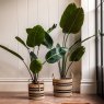 Gallery Direct Faux Plants - Potted Travellers Palm Tree 4ft