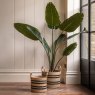 Gallery Direct Faux Plants - Potted Travellers Palm Tree 5ft