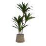 Gallery Direct Faux Plants - Potted Yucca Green H