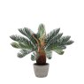 Gallery Direct Faux Plants - Wide Palm in Concrete Pot