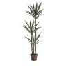 Gallery Direct Faux Plants - Yucca Tree w/3 Heads 600x