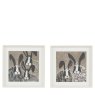 Gallery Direct Animal Antics II - Framed Art Set of 2