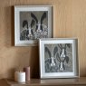 Gallery Direct Animal Antics II - Framed Art Set of 2