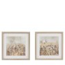 Gallery Direct Meadow Mischief - Framed Art Set of 2