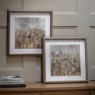 Gallery Direct Meadow Mischief - Framed Art Set of 2