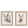 Gallery Direct Woodland Whiskers - Framed Canvas Set of 2
