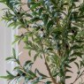 Gallery Direct Faux Plants - Faux Olive Tree in White Pot