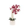 Gallery Direct Faux Plants - Orchid in Moss Ceramic Dot Pot Pink