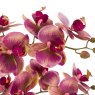 Gallery Direct Faux Plants - Orchid in Moss Ceramic Dot Pot Pink