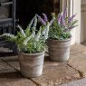 Gallery Direct Faux Plants - Potted Rustic Lilac Lavendar