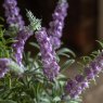 Gallery Direct Faux Plants - Potted Rustic Lilac Lavendar