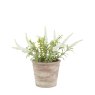 Gallery Direct Faux Plants - Potted Rustic White Lavendar