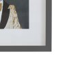 Gallery Direct Woodland Gentry - Framed Art Set of 4
