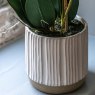 Gallery Direct Faux Plants - Orchid in White Ribbed Ceramic Pot
