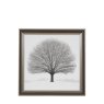 Gallery Direct Silent Beauty - Framed Art