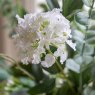 Gallery Direct Faux Flowers - Eucalyptus Floral Vase Arrangement