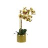 Gallery Direct Faux Flowers - Orchid in Moss Ceramic Green Dot Pot