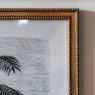 Gallery Direct Colonial Sketches - Framed Art Set of 2