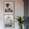 Gallery Direct Colonial Sketches - Framed Art Set of 2
