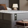 Sealy Sealy Tredwell (Extra Firm) - Mattress