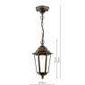 English Heritage Lighting English Heritage - Audley End IP44 Outdoor Pendant (Hand-brushed Black/Gold and Glass)