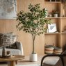 Gallery Direct Faux Plants - Ficus Tree