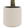 Gallery Direct Faux Plants - Ficus Tree