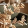 Gallery Direct Faux Flowers - Natural Eucalyptus Stems (5pk)