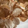 Gallery Direct Faux Flowers - Natural Eucalyptus Stems (5pk)