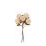 Gallery Direct Accessories - Natural Peony Stem (5pk)