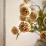 Gallery Direct Accessories - Pom Pom Arrangement