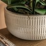 Gallery Direct Faux Plants - Real Touch Plum Orchid In Ceramic Ridged Pot
