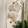 Gallery Direct Faux Plants - Real Touch White Orchid In Cement Style Pot