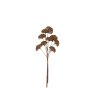Gallery Direct Accessories - Brown Large Pom Pom Stems (3pk)