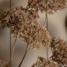 Gallery Direct Accessories - Brown Large Pom Pom Stems (3pk)