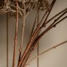 Gallery Direct Accessories - Brown Large Pom Pom Stems (3pk)