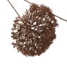 Gallery Direct Accessories - Brown Large Pom Pom Stems (3pk)