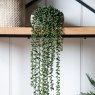 Gallery Direct Faux Plants - String of Pearls in Soil