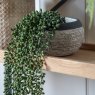Gallery Direct Faux Plants - String of Pearls in Soil